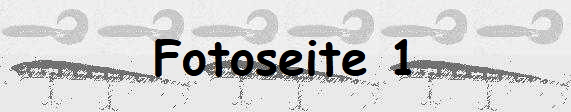 Fotoseite 1