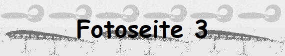 Fotoseite 3