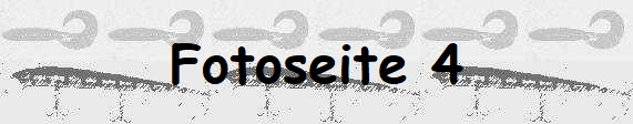Fotoseite 4