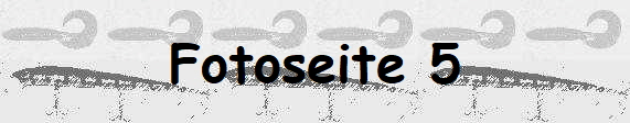 Fotoseite 5