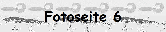 Fotoseite 6